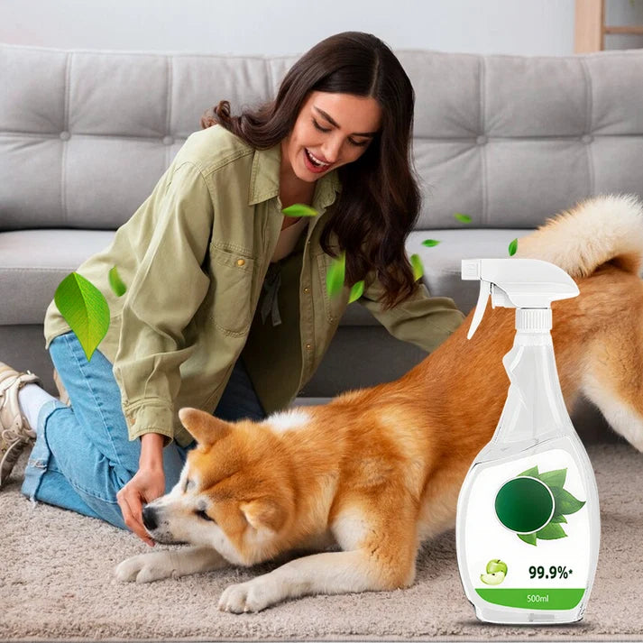 2026 HOT SALE50K+ SOLD! Spray & Wipe, Refresh Your Whole Home