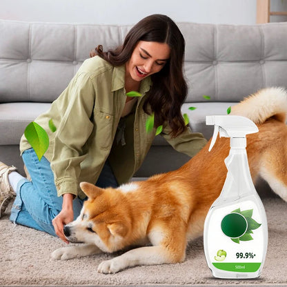 2026 HOT SALE50K+ SOLD! Spray & Wipe, Refresh Your Whole Home